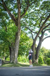 BIB: 
                            <button type="button" onclick="openModal(26545929)" class="btn btn-primary btn-sm float-right btn-popup" data-toggle="modal" data-target=".modal-high-quality">
                        <i class="fas fa-shopping-cart"></i> Add to Cart
                    </button>
                                            <button type="button" onclick="isThisMe(26545929, true)" class="btn btn-success btn-sm float-right btn-popup btn-isme hidden" data-toggle="tooltip" data-placement="bottom" title="นี่คือรูปของคุณใช่ไหม คลิกที่นี่เพื่อเอาเข้าอัลบั้ม">
                        <i class="fas fa-plus"></i> Add to album
                    </button>
                    <button type="button" onclick="isThisMe(26545929, false)" class="btn btn-warning btn-sm float-right btn-popup btn-isnotme hidden">
                        <i class="fas fa-ban"></i> Remove from album
                    </button>